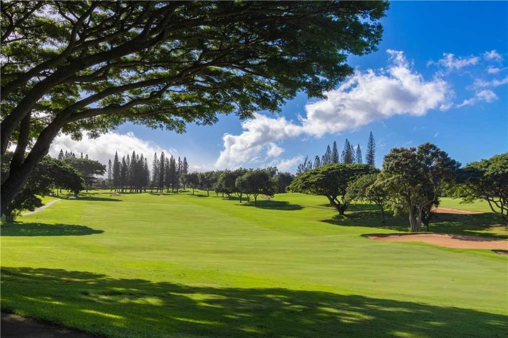להיינה Kapalua Golf Villas 12T5 Condo מראה חיצוני תמונה